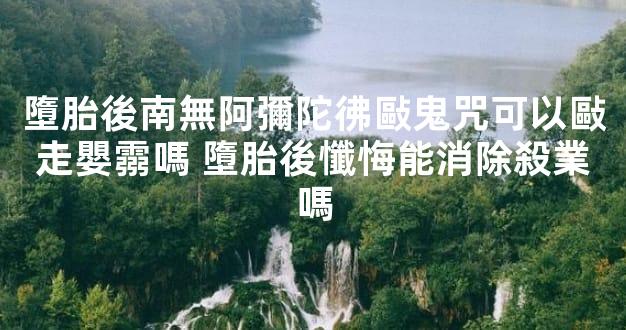 墮胎後南無阿彌陀彿敺鬼咒可以敺走嬰霛嗎 墮胎後懺悔能消除殺業嗎